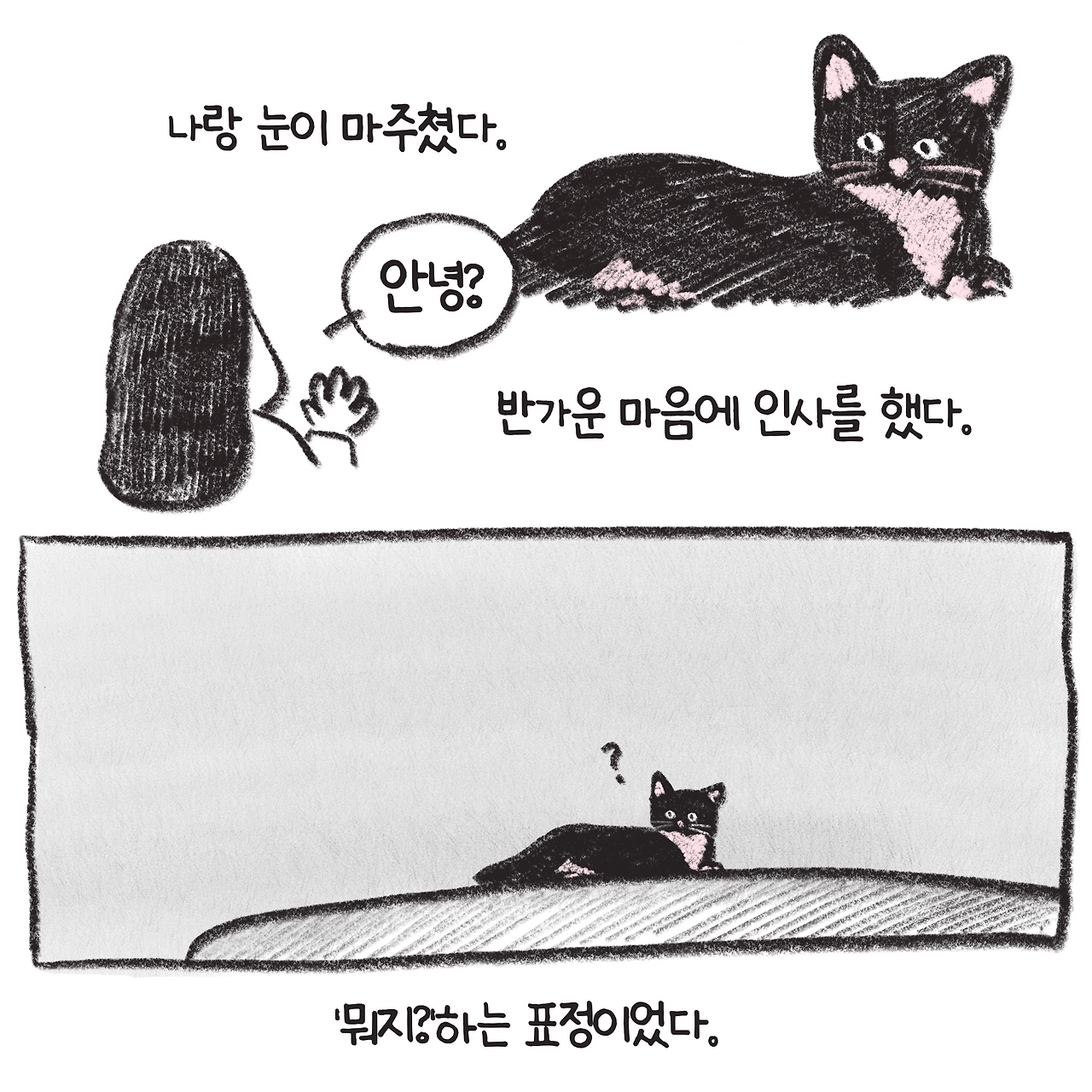 240130_고양이-3.png