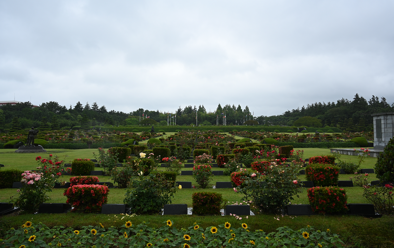 양심과 연대.png