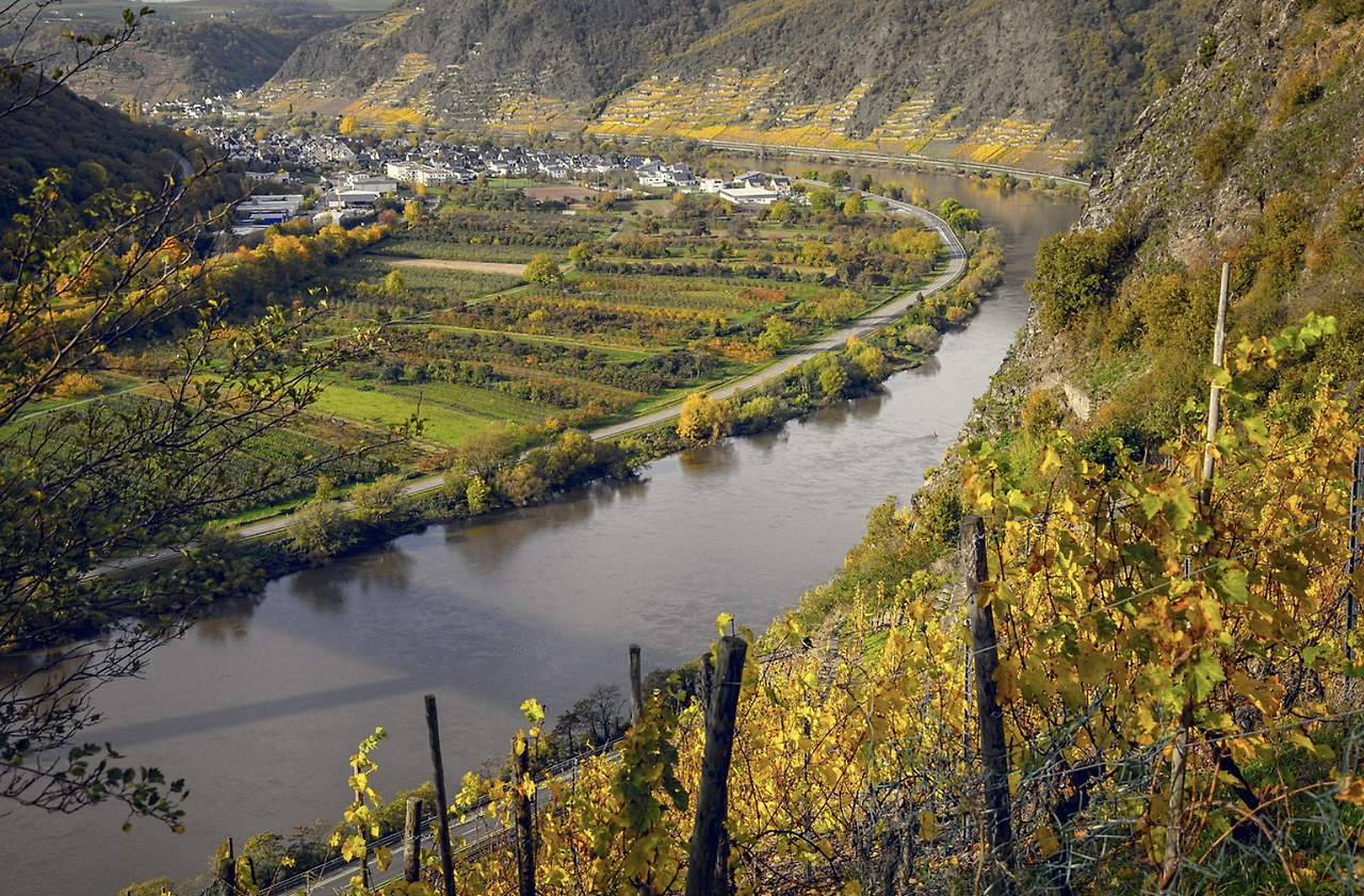 Screen Shot 2025-10-08 at 00.33.12.png