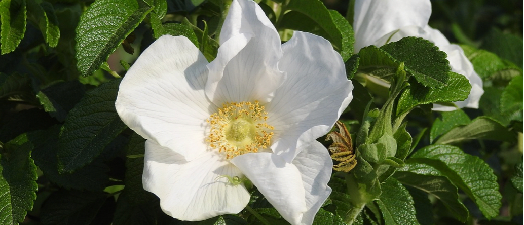 스크린샷 2023-07-18 오후 2.12.18.png