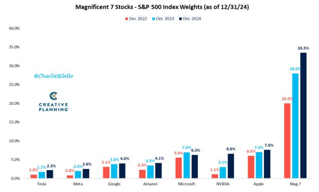 Magnificent 7 Share of S&P 500 2025-01W3 33.5 percent.png