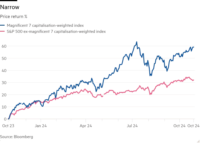 Magnificent 7 2023-10 to 2024-10.png