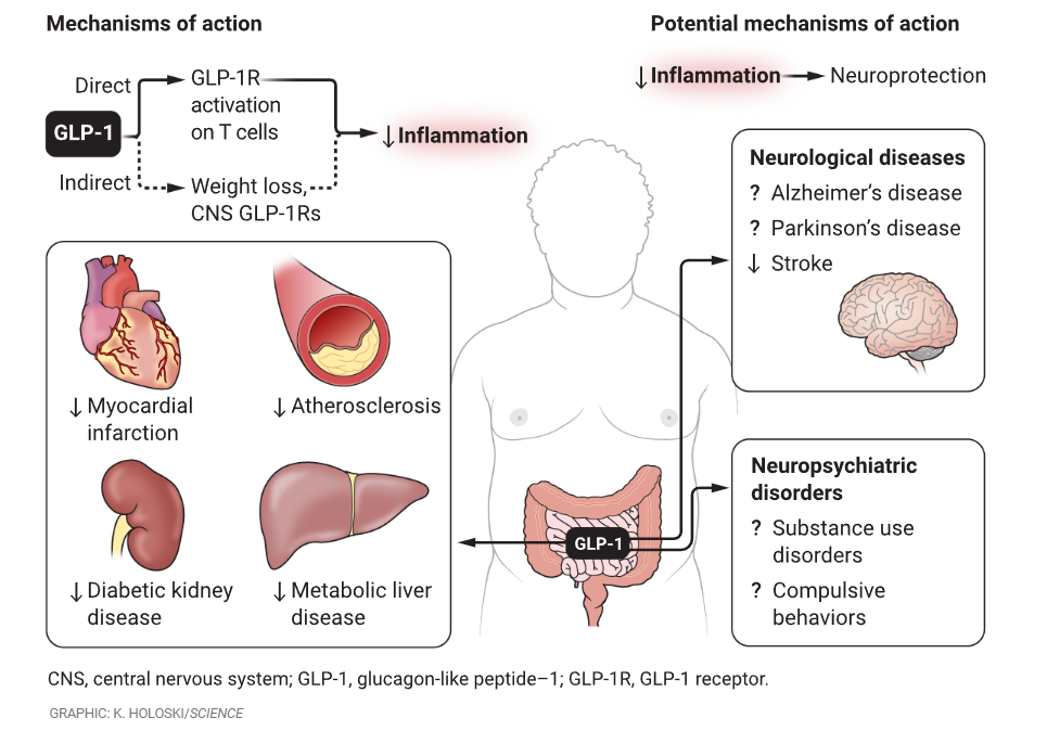 GLP-1 controls neurological neuropsychiatric disorders.png