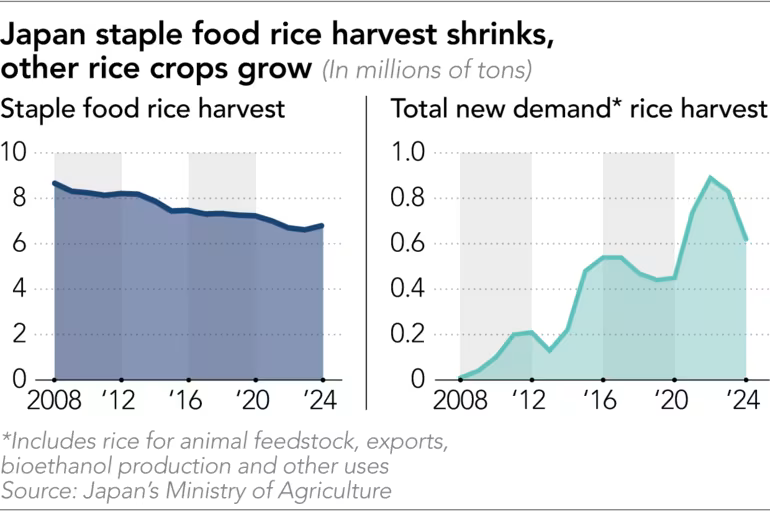 Japan rice staple vs other uses 2008 to 2025H1.png