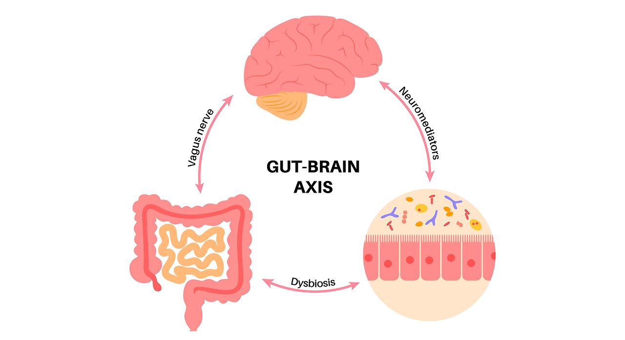 microbiota-gut-brain-axis-IBS-depression-anxiety.png