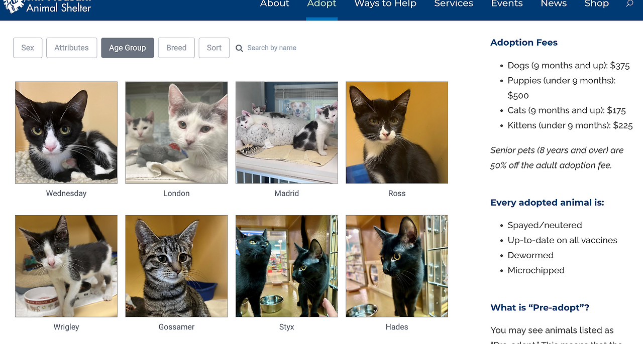 Screenshot 2024-12-01 at 9.27.12 AM.png