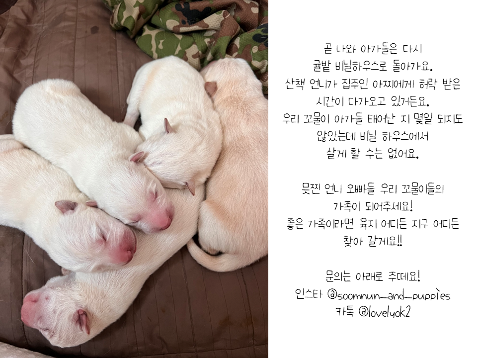 KakaoTalk_20231215_140728610_09.png