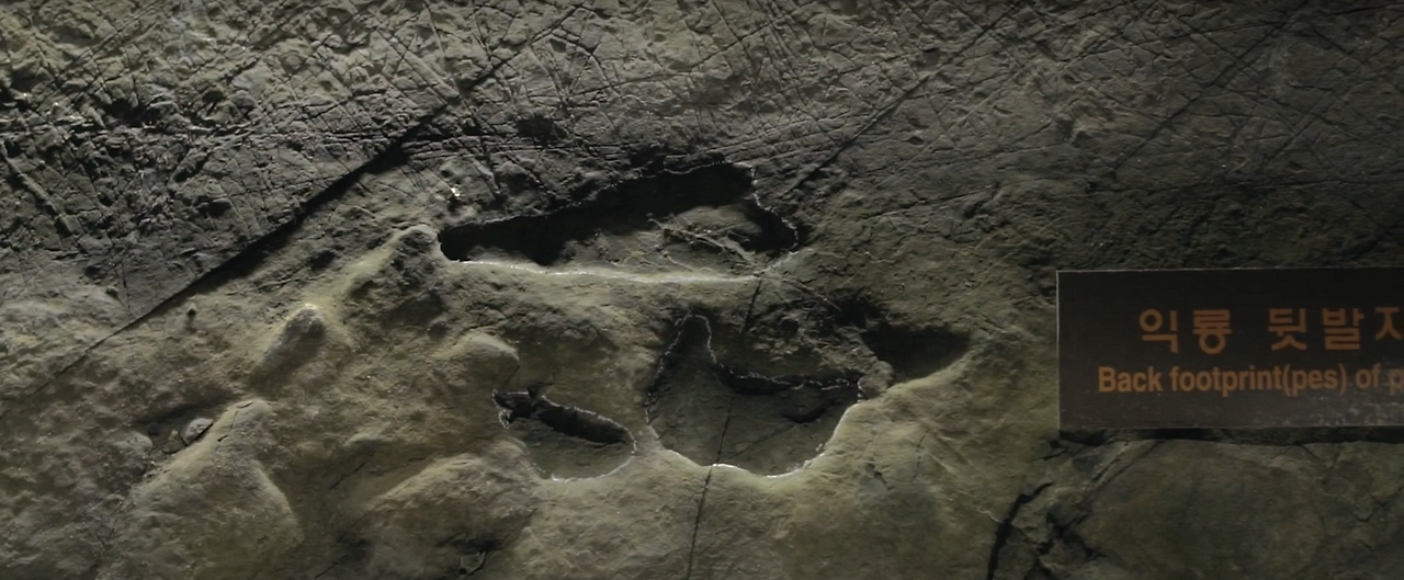 Screenshot 2023-10-09 at 10.15.39 AM.png