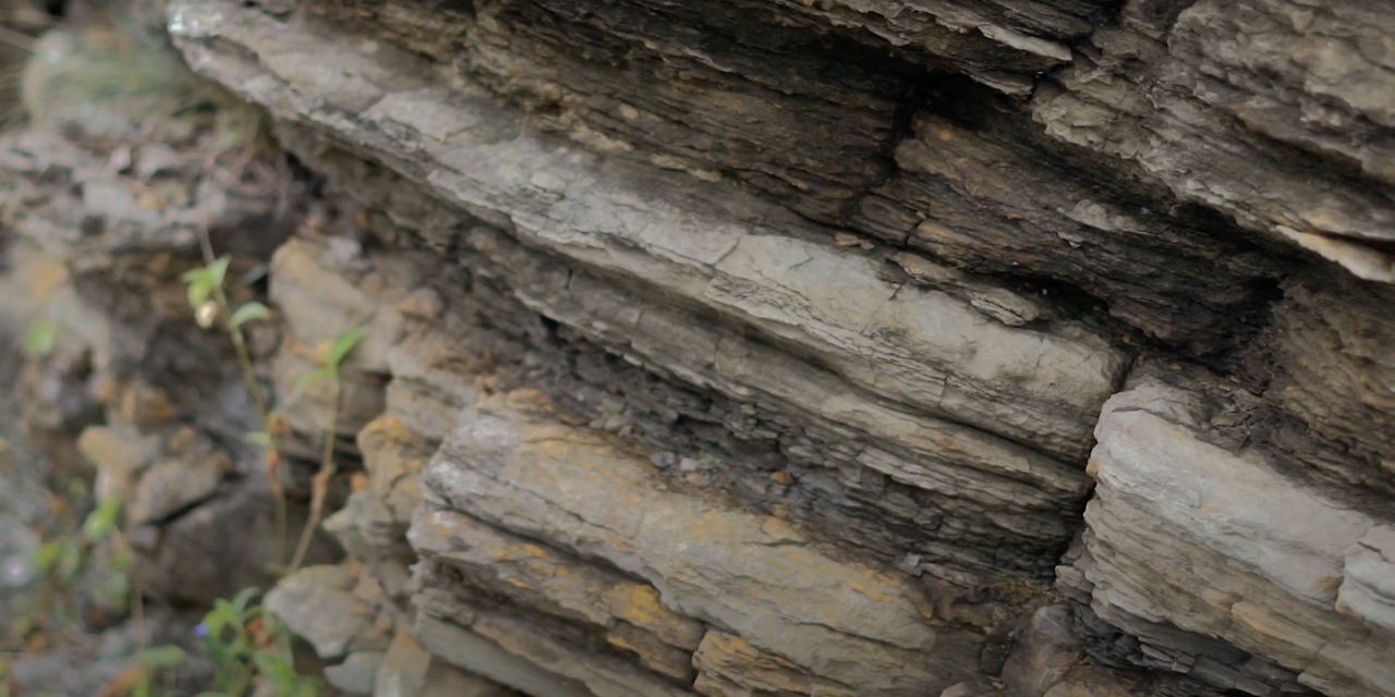 Screenshot 2023-10-09 at 10.13.35 AM.png