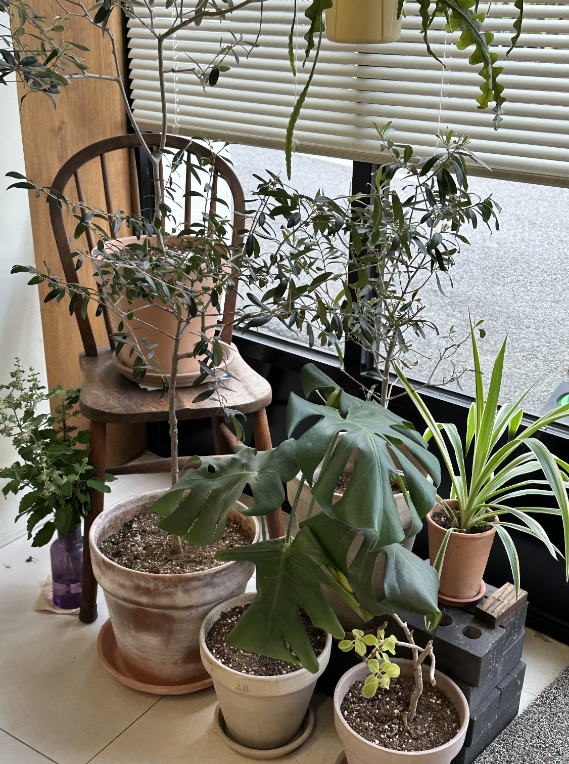 스크린샷 2024-10-26 오후 11.52.06.png