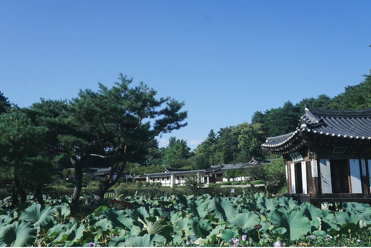 스크린샷 2025-01-12 오후 5.04.01.png