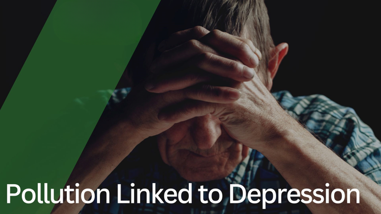 20260102 _ 대기오염 성분, 노년 우울증 위험을 키우나 _ 2-2.png