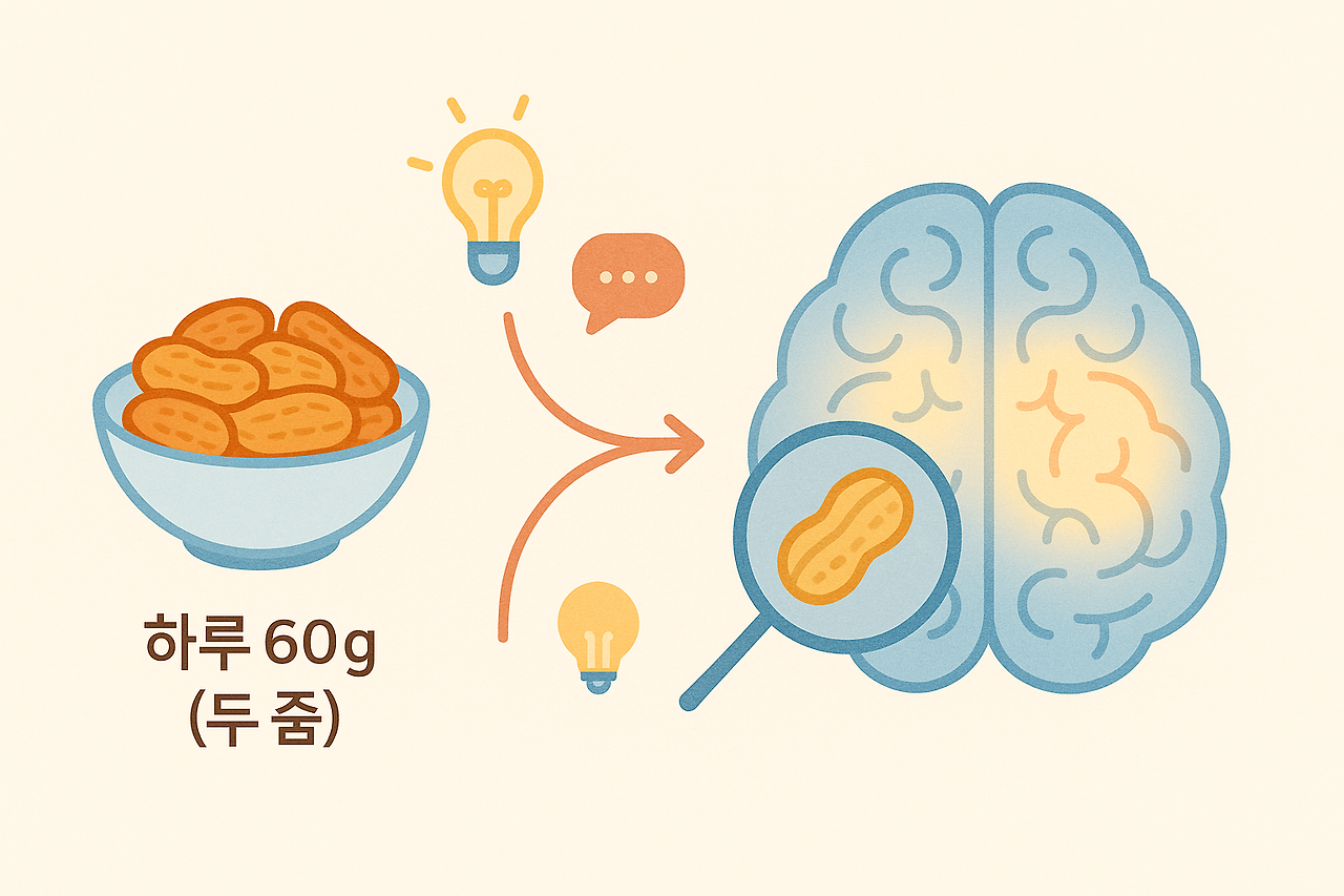 20251210 _ 하루 두 번 땅콩, 엄마의 뇌를 위한 작은 실험 _ 2.png