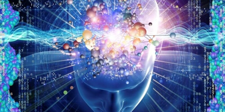 20251221 _ 의식의 진화, 새가 알려준 ‘세 단계’ 비밀 _ 2.png