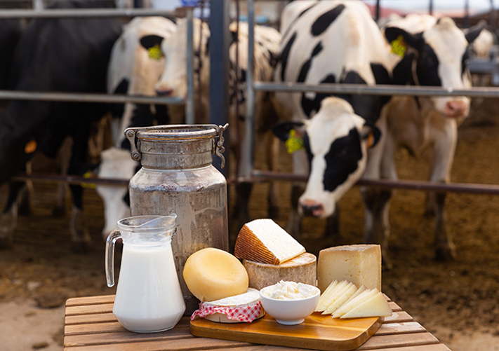 20251223 _ 치매 위험, 전지방 치즈가 13% 낮춘다는 연구의 의미 _ 2.png