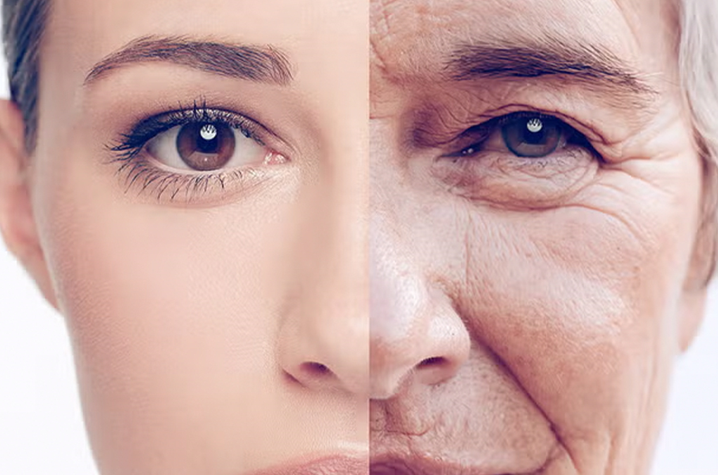 20251221 _ 피부노화, 염증이 주름을 키운다 _ 2-1.png