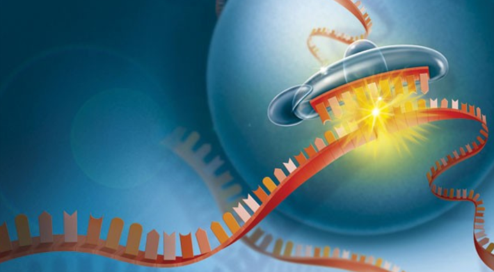 20260117 _ 후성유전학적 건강과 메틸화 _ 2-3.png