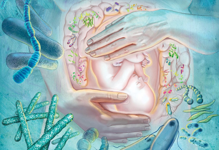 20251230 _ 마이크로바이옴, 임신 유지에 ‘면역 훈련’이 될까 _ 2-1.png