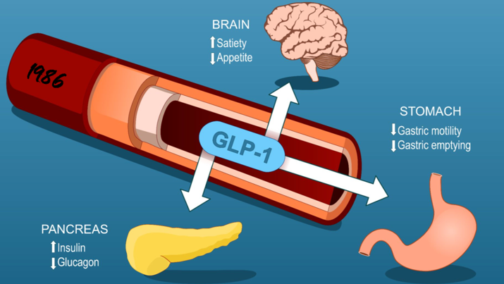 20260124 _ GLP-1 약물, 뜻밖의 이점과 한계 _ 2.png