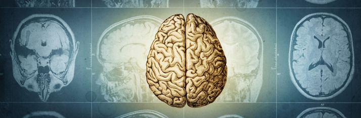 20251217 _ 우리 뇌는 몇 살에 어른이 될까 _ 2.png