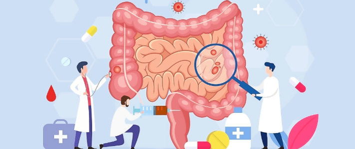20260120 _ 결합 단백질, 장 건강 ‘다음 큰 흐름’일까 _ 2-1.png