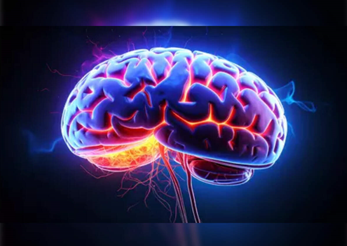 20260103 _ 다발성경화증, 지중해식 식단과 위험 감소 전향적 연구 _ 2-1.png