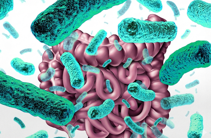 20260123 _ 자가양조증후군, 술 없이 취하는 이유 _ 2-3.png