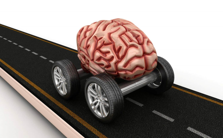 20260110 _ 뇌 정보처리 속도, ‘내부 시간척도’의 비밀 _ 2-2.png