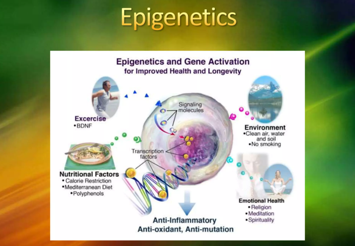 20260117 _ 후성유전학적 건강과 메틸화 _ 2-2.png