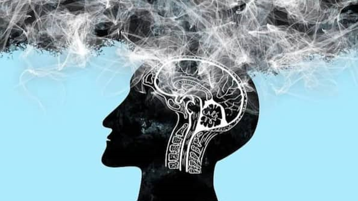 20260103 _ 알츠하이머병, 혈액검사로 본 유병률이 달라진 이유 _ 2-2.png