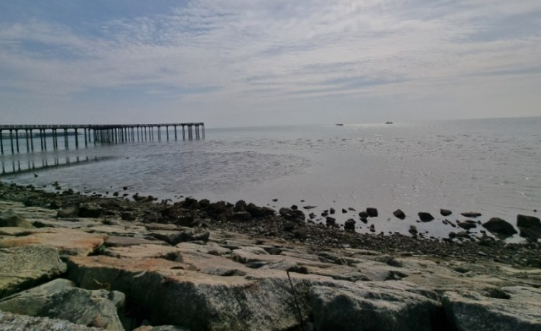 스크린샷 2024-06-15 194841.png