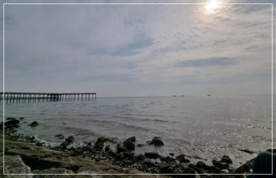 스크린샷 2024-06-15 194813.png