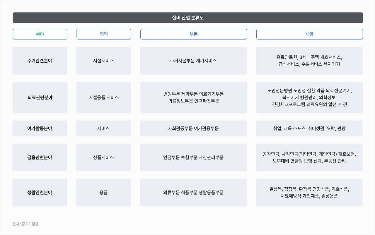 실버 산업 분류도.png