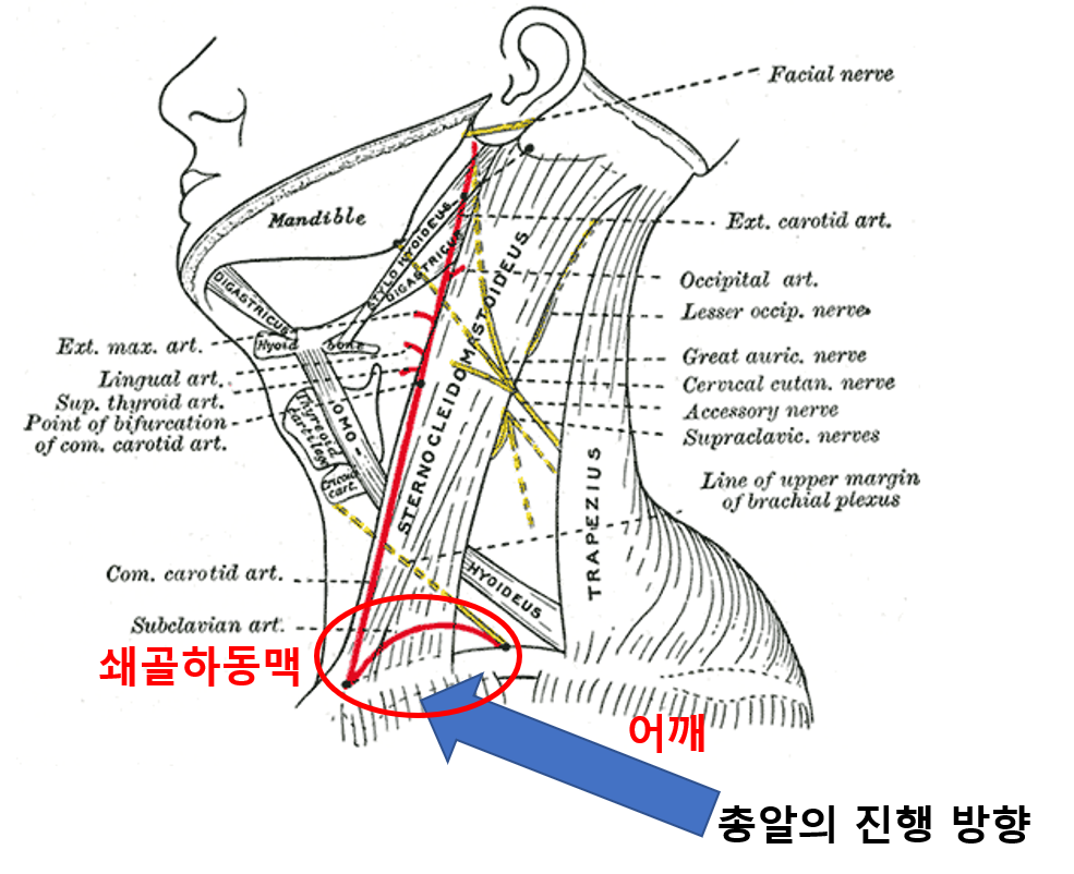 왓슨의 총상.png