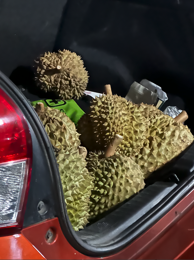 스크린샷 2025-06-18 오전 8.21.36.png