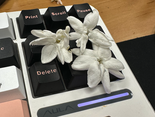 스크린샷 2025-07-03 오전 9.21.22.png