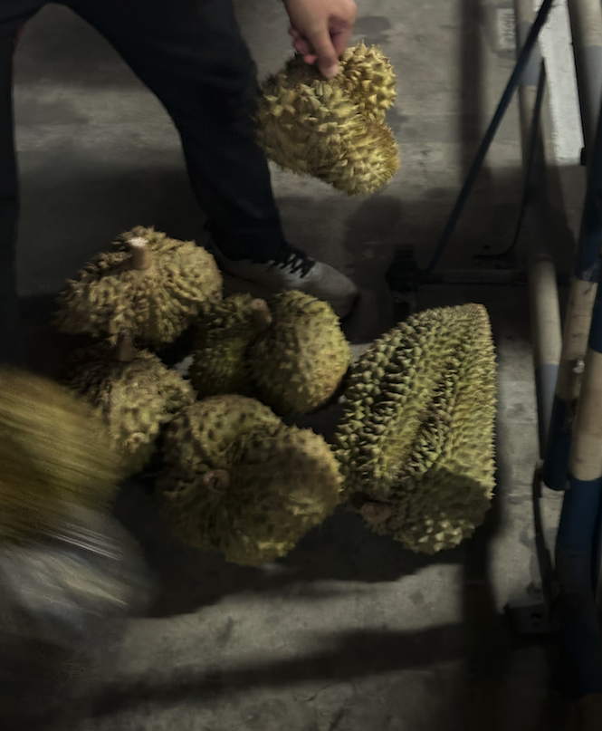 스크린샷 2025-06-18 오전 8.22.01.png