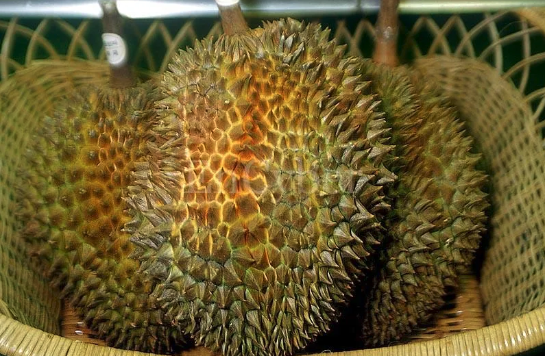 스크린샷 2025-07-23 오후 4.38.29.png