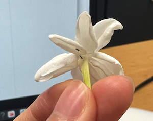 스크린샷 2025-07-03 오전 9.19.03.png