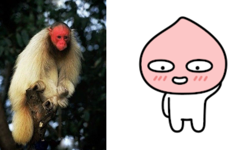 스크린샷 2024-04-01 225541.png