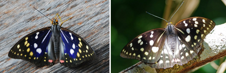 화면 캡처 2025-09-20 170322.png