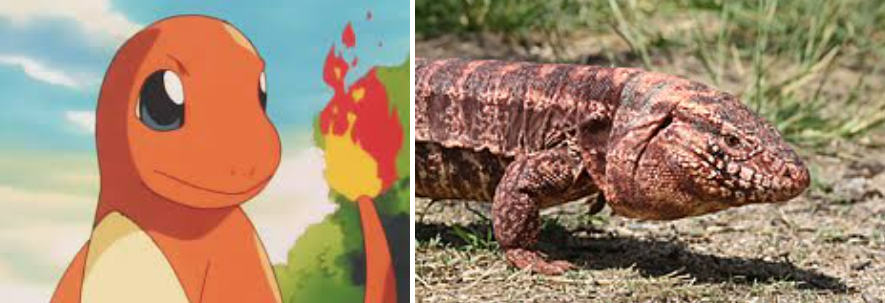 화면 캡처 2025-09-08 232223.png