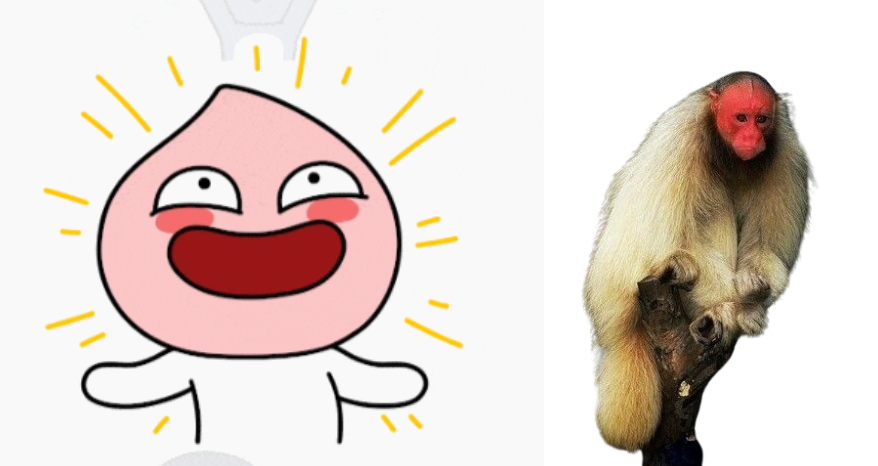 스크린샷 2024-04-01 231350.png