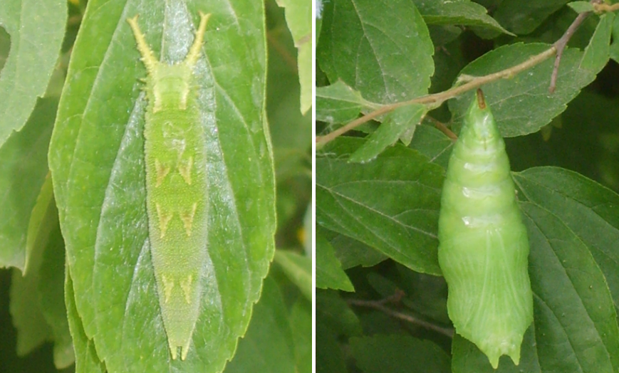 화면 캡처 2025-09-20 170348.png