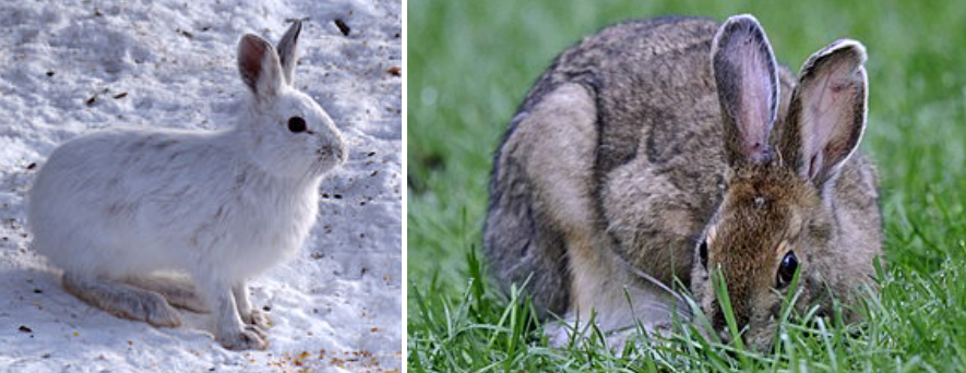 스크린샷 2024-03-12 211522.png