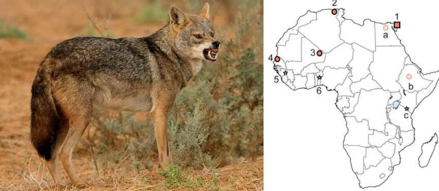 스크린샷 2023-12-23 105102.png