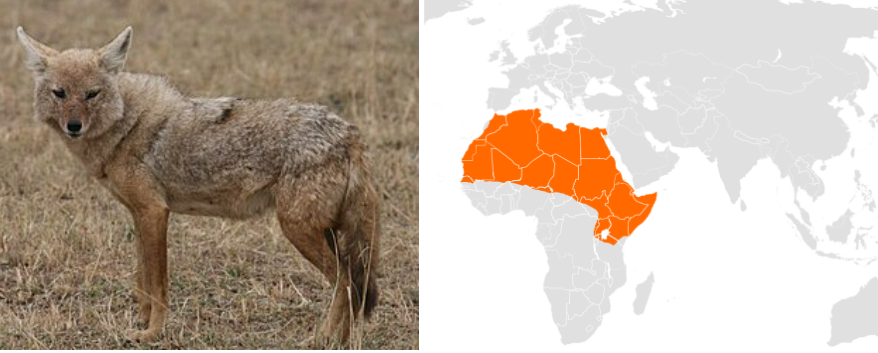 스크린샷 2023-12-23 105044.png