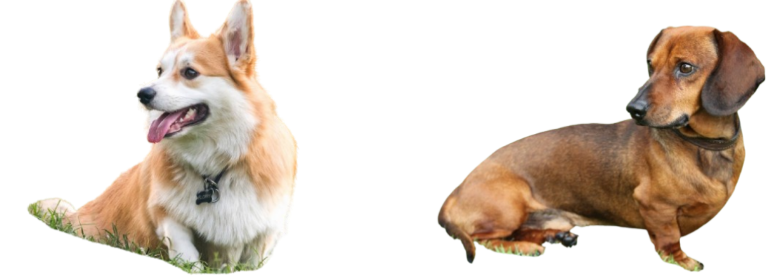 화면 캡처 2025-01-25 062721.png