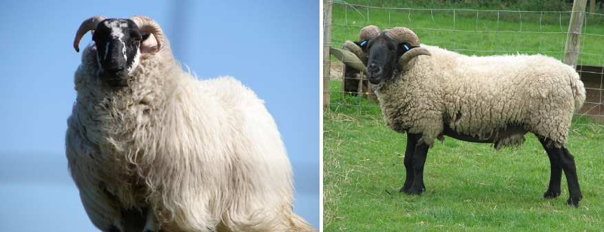 스크린샷 2024-02-17 110848.png