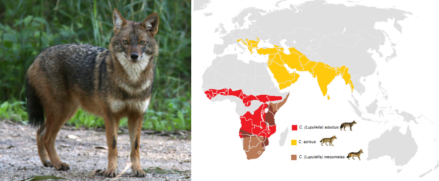 스크린샷 2023-12-23 105030.png